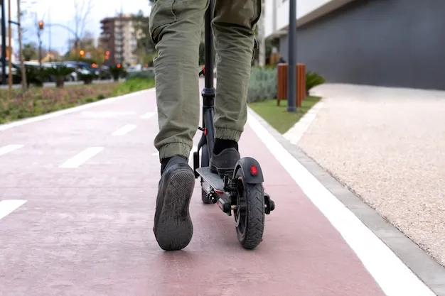 Segway Scooter Tamiri: Yetkili Servis Kalitesi